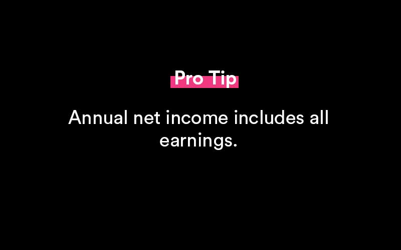 annual net income