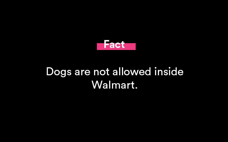 are dogs allowed in walmart