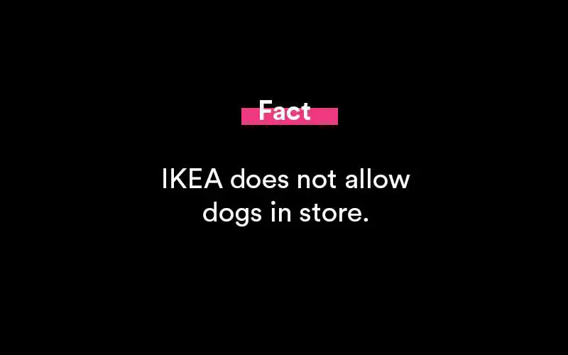 does ikea allow dogs