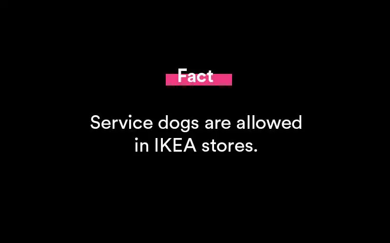 does ikea allow dogs