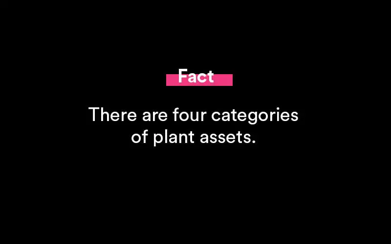 plant assets