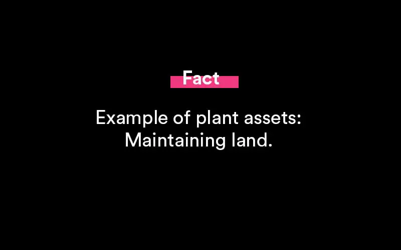 plant assets